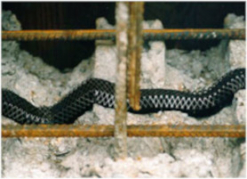 Vuugilint Waterstop-RX-1