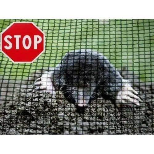 Anti-mole mesh