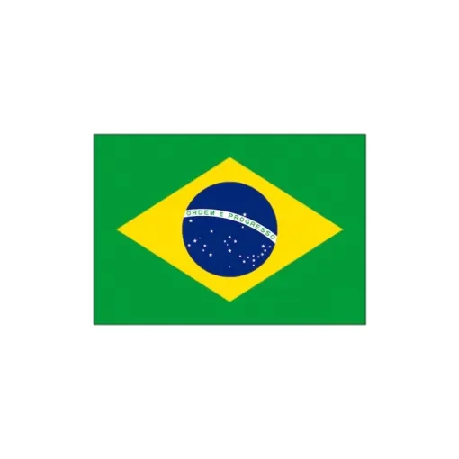 Brasiilia lipp