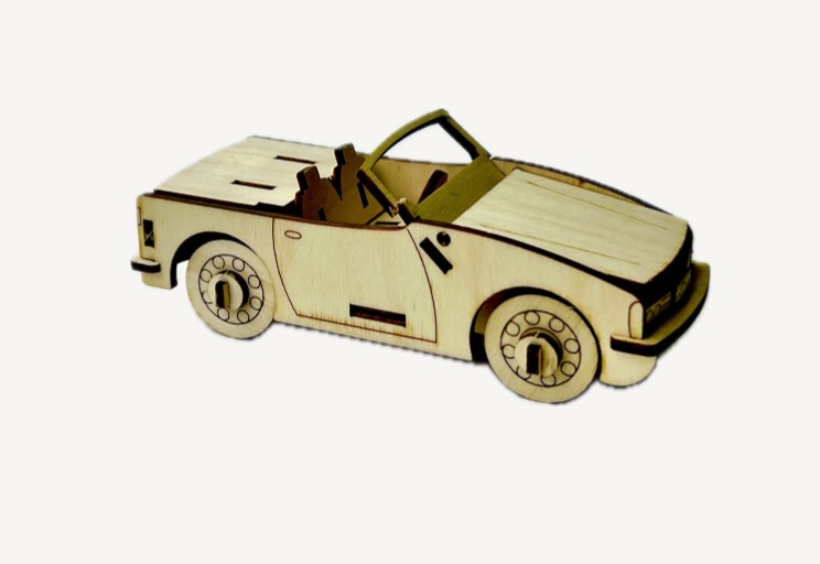 auto vineerist