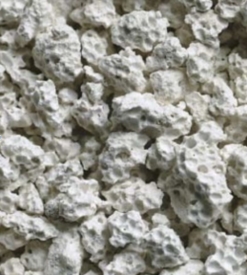 Absorbentid