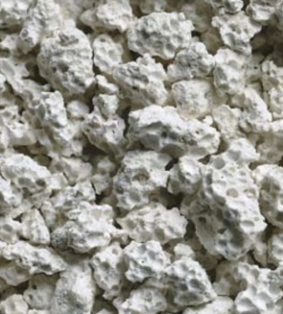 Absorbentid